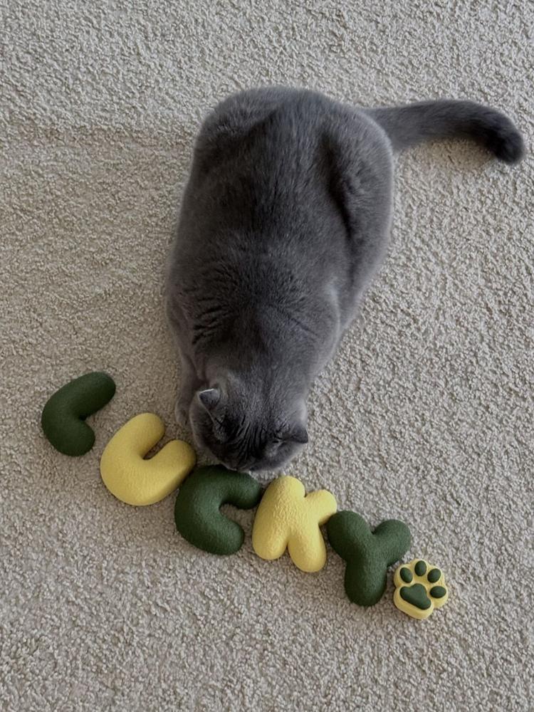 A grey cat lying next to LUCKY letters